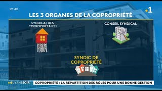 Copropriété  trois organes gèrent la copropriété [upl. by Ahseuqal648]