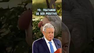 Con toda la actitud amlolujodepresidente [upl. by Acined]