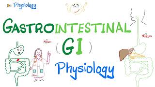 Gastrointestinal GI Physiology…The Basics Introduction  Physiology Series [upl. by Herwick]