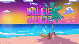 Collie Buddz  Take It Easy Full Album [upl. by Collbaith]