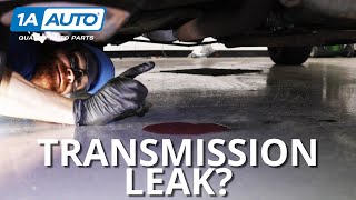 Puddle Under Your Car or Truck How to Diagnose Transmission Leaks [upl. by Nekciv699]