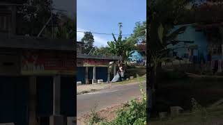 abah lagi jemur padi hasil panen garut pelosokdesa [upl. by Meekar]