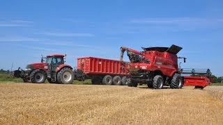 Case IH Axial Flow 6140  Loonbedrijf Kools  tarwe dorsen [upl. by Elocon]