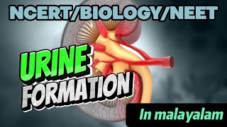 EXCRETORY PRODUCTS amp THEIR ELIMINATION NCERTNEETBIOLOGYCLASS XI IN MALAYALAM [upl. by Drazze]