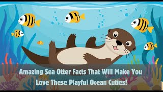 Why Do Sea Otters Use Rocks Discover 10 Fun Facts [upl. by Jacqueline]