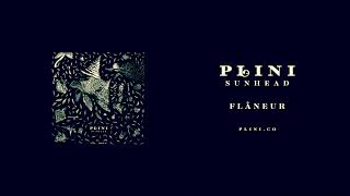 Plini – quotFlâneurquot Slowed  Reverb [upl. by Ennylcaj]