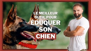 Le meilleur outil pour dresser un chien [upl. by Viguerie]