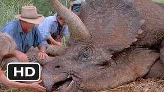 Jurassic Park 410 Movie CLIP  Tyrannosaurus Rex 1993 HD [upl. by Omrellig957]