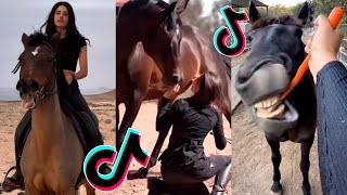 The Best HORSE TikTok Compilation 228 [upl. by Llerdna]