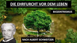 Ehrfucht vor dem Leben  Biozentrismus nach Albert Schweitzer [upl. by Ringo]