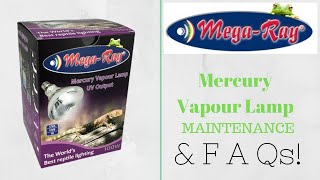 MegaRay Mercury Vapour Lamps [upl. by Littlejohn749]