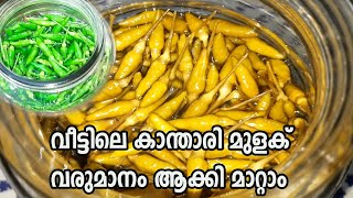 കൊതിയൂറും കാന്താരി ഉപ്പിലിട്ടത് Kanthari Uppilittathu Recipe [upl. by Attenohs]