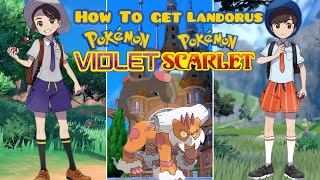 How To Get Landorus In Pokémon Scarlet And Violet [upl. by Uria458]