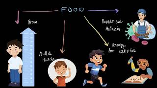 Introduction to Nutrients  Middle School Science  Subject  Khan Academy [upl. by Cletus]