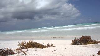 Tulum Mexico area beach surf [upl. by Esiuolyram]