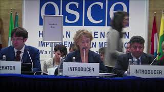 2017 HDIM Working Session 10 [upl. by Nordine]