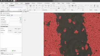 ImagePro v11 Cell Biology Protocols  Confluence [upl. by Nadabus]