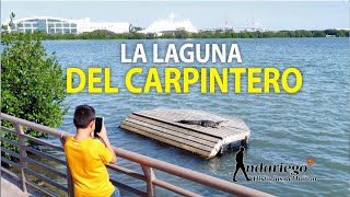 Laguna del Carpintero en Tampico la historia detrás de este atractivo turístico [upl. by Burta]