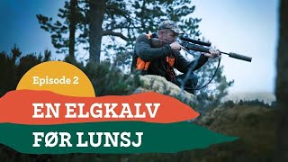 2 En elgkalv før lunsj [upl. by Akienaj]