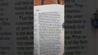 Galatians 678 bibleverse harvest sow spirit [upl. by Janus]