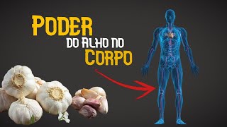 O Poder Do Alho No Corpo [upl. by Anerac]