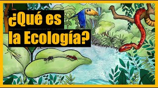 ¿Qué es la Ecología [upl. by Ellennaj633]