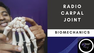 RADIO CARPAL JOINT  WRIST JOINT COMPLEX BIOMECHANICS Physiotherapy Tutorials [upl. by Ardnassela45]