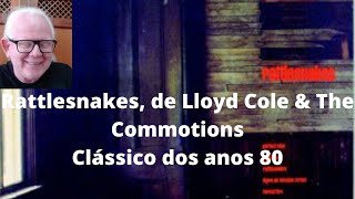 Crítica do álbum Rattlesnakes 1984 de Lloyd Cole amp The Commotions [upl. by Sacram]