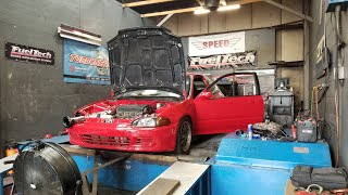 B20 vtec killer h22 vtec killer  h2b dyno day at cft [upl. by Treiber]