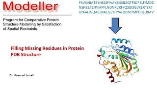 Missing Residue Filling Protein PDB  Modeller  Homology Modelling  Bioinformatics  Urdu  Hindi [upl. by Ahseuqal]