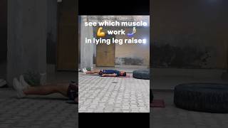 Lying leg raises legraises 6packsabs fatloss rikifitness gif 3dart yatendersingh samsulek [upl. by Leund]