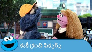 Cookies Crumby Pictures  When Cookie Met Sally  సాలీని కలిసిన కూకీ  Telugu Parody [upl. by Libbey563]