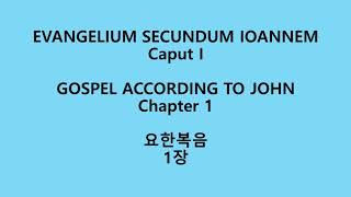 요한복음 1장 라틴어 성경Evangelium secundum Ioannem I Nova VulgataJohn 1 Neo Vulgate Latin Bible [upl. by Ansilme]