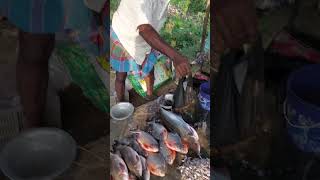 Mo gan re Fish market bangalore food odisha [upl. by Elocal]