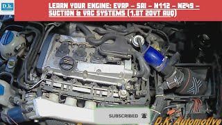 Learn your VW Engine Skoda Octavia RS AUQ EVAP  SAI  N112  N249  SUCTION amp VAC systems [upl. by Ednutabab716]