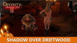 Shadow over driftwood Quest Divinity Original Sin 2 [upl. by Hazeefah443]