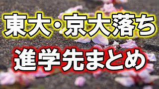 【超リアル】東大・京大に落ちた受験生の進学先を本気でまとめてみた [upl. by Ullman]