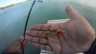 Ep7Shore castingRock fishing in Mauritius at Grand Gaube [upl. by Tsenre968]