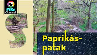 Paprikás patak 2022 [upl. by Nirrej955]