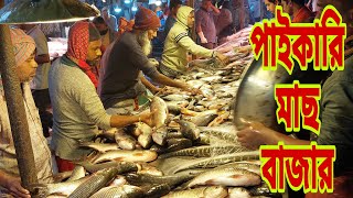 পাইকারি দামে মাছ কিনুন  Jatrabari Wholesale Fish market 5 December 2024  My Life [upl. by Pylle]