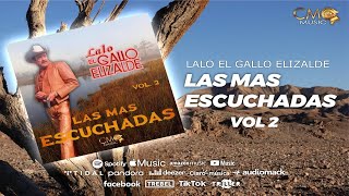 LALO EL GALLO ELIZALDE  LAS MAS ESCUCHADAS VOL 2 [upl. by Opiak]