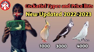 Cockatiel Types and Price in India  Cockatiel Varieties  New Updated  Gk birds breeder [upl. by Ynoep]