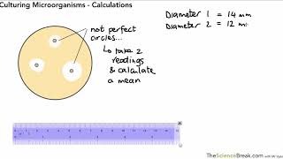 Culturing Microorganisms Calculations for AQA GCSE Biology for Triple Science [upl. by Nealey]