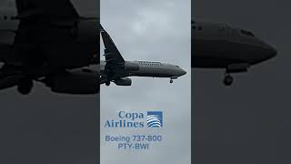 Copa Airlines Boeing 737 arrival into BWI [upl. by Marela304]