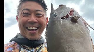 HAWAII SPEARFISHING FOR KALA with SHARK RUSHING INEp117 [upl. by Siron]