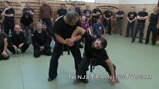 Budo Taijutsu of Master Nagato at Hombu Dojo [upl. by Sekofski]