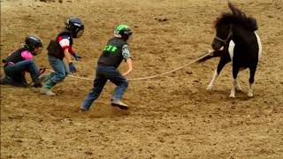 Wild Pony Races  Fort Dodge IA [upl. by Itsim]