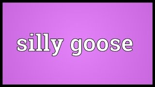 Silly goose Meaning [upl. by Cherlyn]