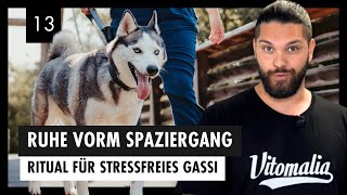 Ruhiger SPAZIERGANG Mit Deinem Hund  So Bereitest Du Dich Richtig Vor – Tag 13 [upl. by Intruok]