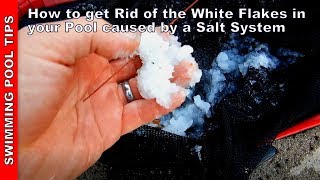 How to Get Rid of the White Flakes in your Pool Caused by Your Salt System SWG [upl. by Notsgnal]